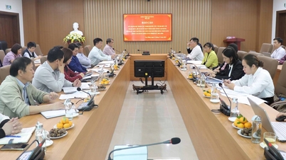 The Department of Health held a conference to report on the draft Resolution to be submitted to the Provincial People's Council, term XVII, at the end of 2025.