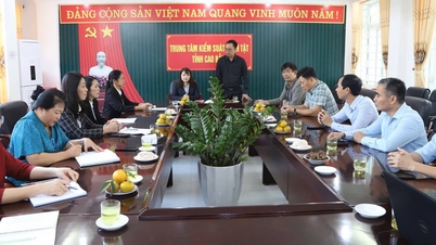 Het Centrum voor ziektebestrijding van de stad Hai Phong en de provincie Cao Bang wisselden ervaringen uit op het gebied van het voorkomen van tabaksgebruik.