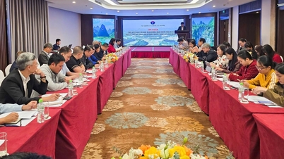 The Department of Traditional Medicine and Pharmacy Management trains and disseminates documents guiding the implementation of investment content and support for the development of medicinal herb growing areas in the quarter of 2025.