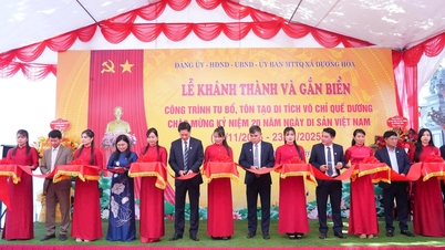 Duong Hoa: Conservarea și promovarea valorii relicvei artelor marțiale Que Duong