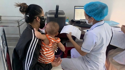 Pneumococcal and HPV vaccination plan in expanded immunization