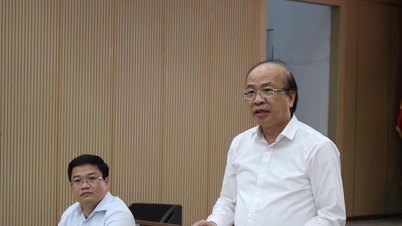 قانونی بنیاد کو مکمل کرنا، دا نانگ کی ترقی کے لیے خصوصی اور شاندار طریقہ کار اور پالیسیوں کو یقینی بنانا