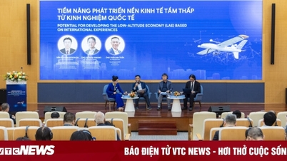 ভিয়েতনামের নিম্ন-উত্থানশীল অর্থনীতির ভবিষ্যৎ গঠন