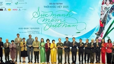 ソフトパワーとは、内発的能力であり、国家の発展のアイデンティティです。