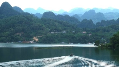 Phu Tho omgjør 16,67 hektar skog til feriestedprosjekt