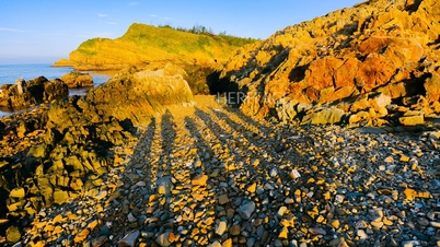 មើលថ្ងៃរះនៅលើកោះ Co To