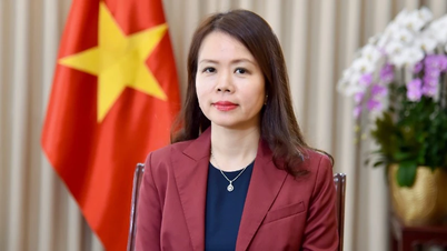 Подтверждение надежной роли Вьетнама и ответственного вклада на международной арене