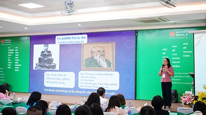 Diskuter ernæringsløsninger for bærekraftig helse for vietnamesere