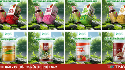 Inspirera till ett hälsosamt liv med det vietnamesiska veganska ekosystemet