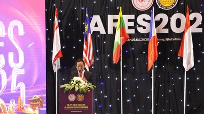 AFES 2025: Främja tillämpningen av digital teknik inom modern medicin