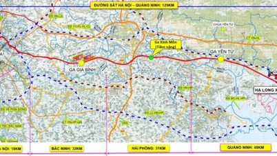 Bước tiến mới tại tuyến đường sắt tốc độ cao Hà Nội - Quảng Ninh 5,54 tỷ USD