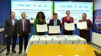 La Fondation PepsiCo finance des projets d'agriculture régénératrice pour lutter contre le changement climatique.