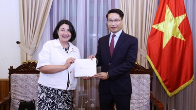 Министерство иностранных дел получило копию верительной грамоты о назначении посла Чили во Вьетнаме.