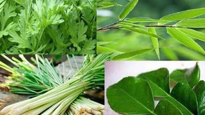 ວິທີການຢາພື້ນເມືອງເພື່ອຊ່ວຍປ້ອງກັນໄຂ້ຫວັດ A