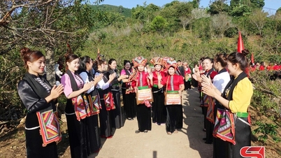 Spennende kaffeplukkkonkurranse på Chieng An Ward Coffee Festival