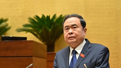 法的な期限に従って、選挙実施のリーダーシップ、指示、ガイダンス、組織を緊密に調整し、強化します。