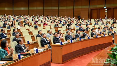 Kiên quyết không để lọt những người không xứng đáng ứng cử vào Quốc hội, Hội đồng nhân dân các cấp