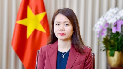 Dışişleri Bakan Yardımcısı Nguyen Minh Hang: Başbakan'ın çalışma gezisi Güney Afrika, Cezayir, Kuveyt ile stratejik iş birliğini geliştirecek ve G20'ye katkı sağlayacak.