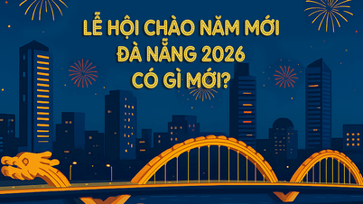 ২০২৬ সালের দা নাং নববর্ষ উৎসবে নতুন কী আছে?