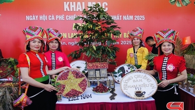 نکات برجسته مسابقه مجسمه سازی قهوه در اولین جشنواره قهوه چینگ آن وارد در سال 2025