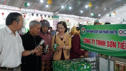 Łączenie handlu produktami górskimi w Da Nang