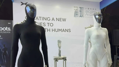Le robot de fer chinois choque par son apparence féminine