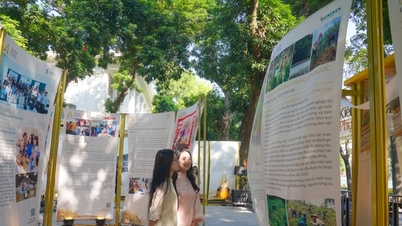 A kiállítás a közösség szolgálatában álló kitartás szellemét terjeszti