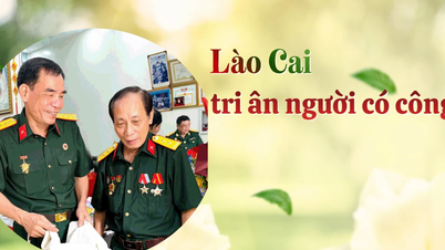 Lao Cai honra a las personas con mérito.