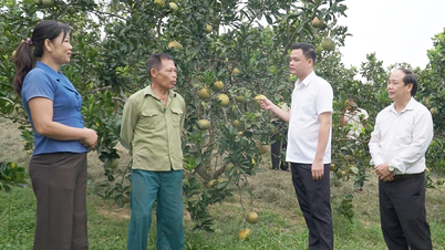 Miembros pioneros del partido en el desarrollo de la economía privada en Yen Thanh