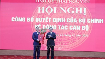 Vuong Quoc Tuan úr a Thai Nguyen Tartományi Pártbizottság titkárhelyettese.