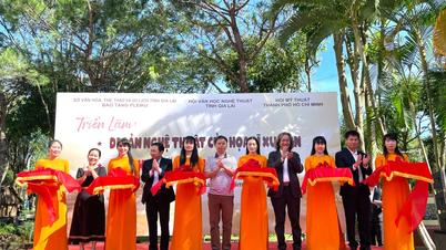 Gia Lai បើក​ការ​តាំង​ពិពណ៌​សិល្បៈ​ដ៏​ធំ​ចំនួន​ពីរ