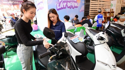 ماشین بنزینی خود را با یک ماشین برقی عوض کنید و در جشنواره ویتنام سبز از تخفیف‌های ویژه بهره‌مند شوید.