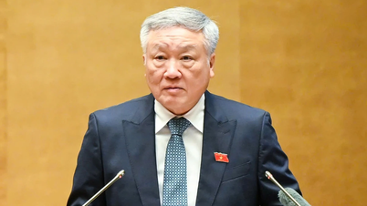 স্থায়ী উপ-প্রধানমন্ত্রী: মন্ত্রণালয়, শাখা এবং এলাকাগুলিকে গুরুত্ব সহকারে কর্মীদের কাজ সম্পাদন করতে হবে।