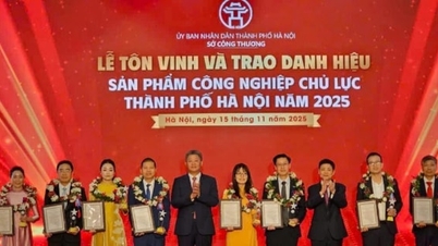 Hanoi awarded the title of key industrial product to 35 products.
