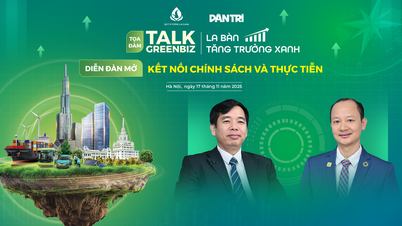 بازار کربن برای شرکت‌های ویتنامی: تبدیل فشار پایداری به فرصت طلایی