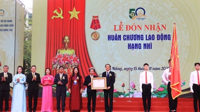 សាកលវិទ្យាល័យ Danang នៃការអប់រំទទួលបានមេដាយការងារថ្នាក់ទីពីរ