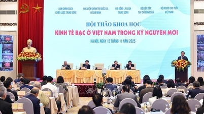 ویتنام میں چاندی کی معیشت: بڑھتی ہوئی آبادی کے چیلنج سے ترقی کے مواقع تک