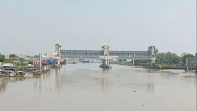 Ho Chi Minh şehrinde kasım ortasında gelgit: Birçok istasyon 3. alarm seviyesini aştı