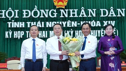 Mr. Nguyen Huy Dung was appointed Chairman of the People's Committee of Thai Nguyen province.