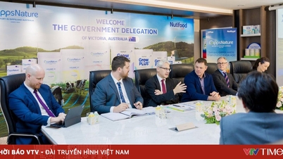 Міністр фінансів штату Вікторія, Австралія, співпрацює з Nutifood