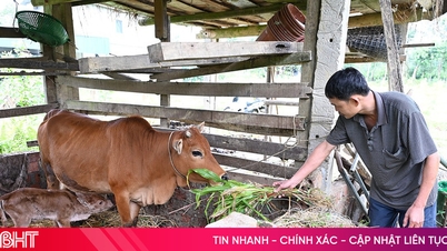Huong Do främjar effektiviteten hos små försörjningsmöjligheter för att hållbart minska fattigdomen