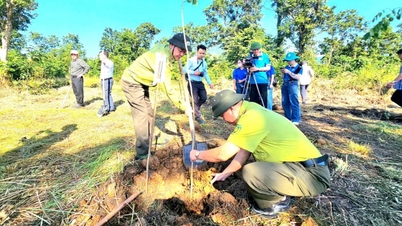 Khanh Hoa plant bomen om 80 jaar Landbouw en Milieu te vieren