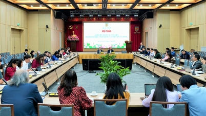 Совершенствование институтов для быстрого и устойчивого развития в новый период