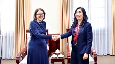 អនុរដ្ឋមន្ត្រីការបរទេស Le Thi Thu Hang បានទទួលជួបឯកអគ្គរដ្ឋទូតអៀរឡង់ប្រចាំនៅវៀតណាម