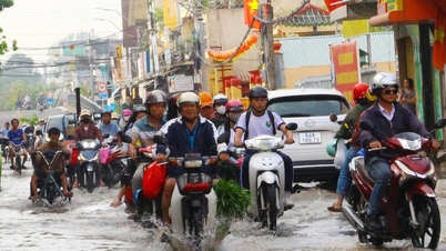 18 नवंबर को प्रदर्शित होने वाले स्टेशनों पर उच्चतम शिखर ज्वार स्तर का पूर्वानुमान