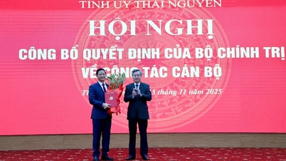Soudruh Vuong Quoc Tuan zastává funkci zástupce tajemníka provinčního výboru strany Thai Nguyen pro období 2025–2030.