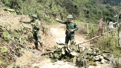דא נאנג: מספר מוגבר של כלבי משטרה שיצטרפו לחיפוש אחר קורבנות בקהילת הונג סון