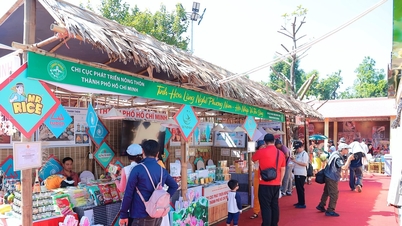 Touristen genießen es, die Farben der traditionellen Handwerksdörfer in Hanoi zu erkunden.
