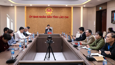 Lao Cai wziął udział w konferencji naukowej „Srebrna gospodarka w Wietnamie w nowej erze”