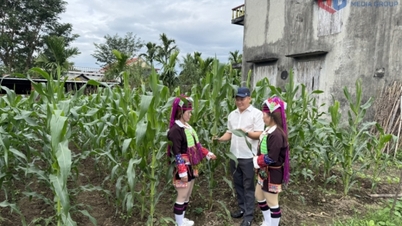 Șeful Comitetului de Lucru Frontal este dedicat și responsabil